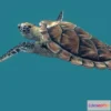 1528270 - PBR Game 3D Models - Sea Green Turtle 3D Max