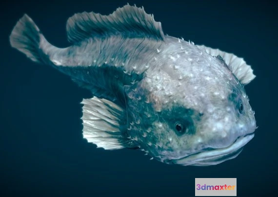 1528322 - PBR Game 3D Models - Smooth Head Blobfish 3D Max