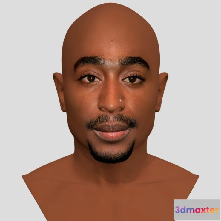1528622 - PBR Game 3D Models - Tupac Shakur Bust For Full Color 3D Printing 3D Max
