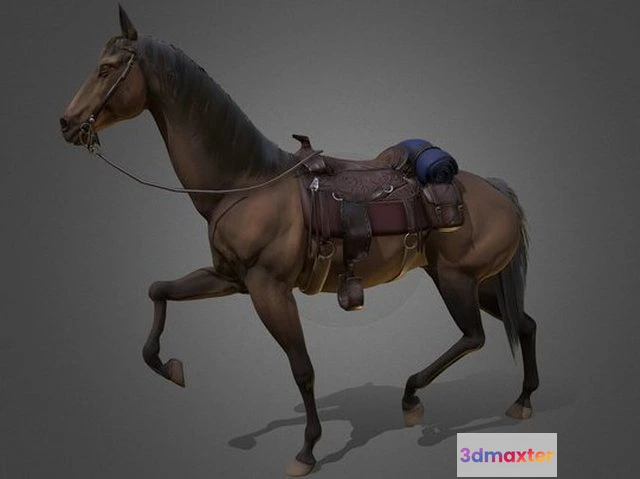 1528756 - PBR Game 3D Models - Western Thoroughbred 3D Max