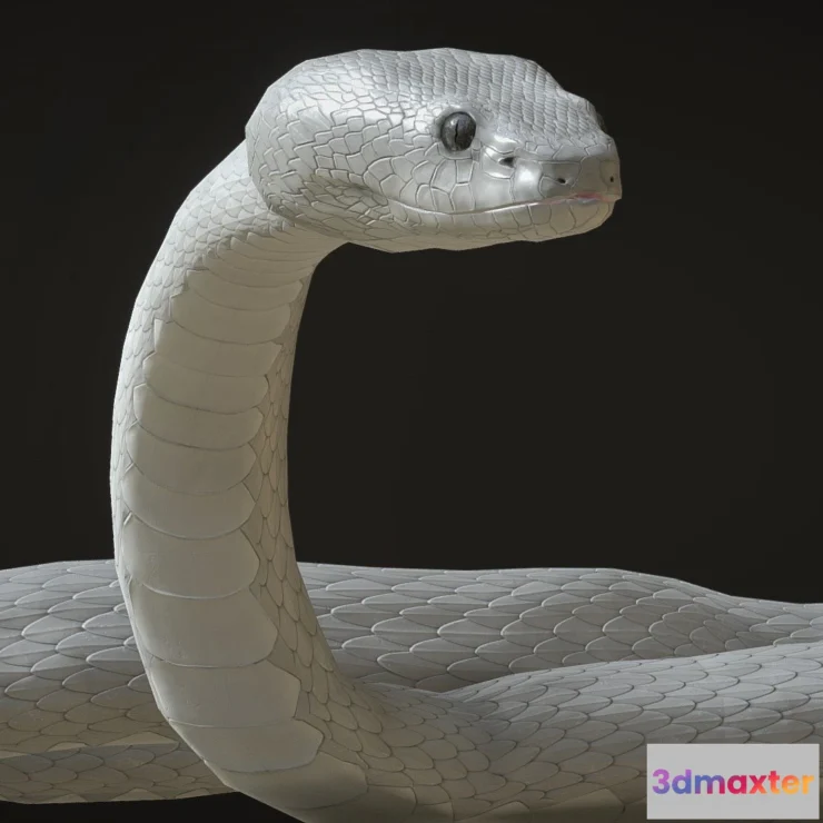 1528764 - PBR Game 3D Models - White Viper Snake With Animations 3D Max