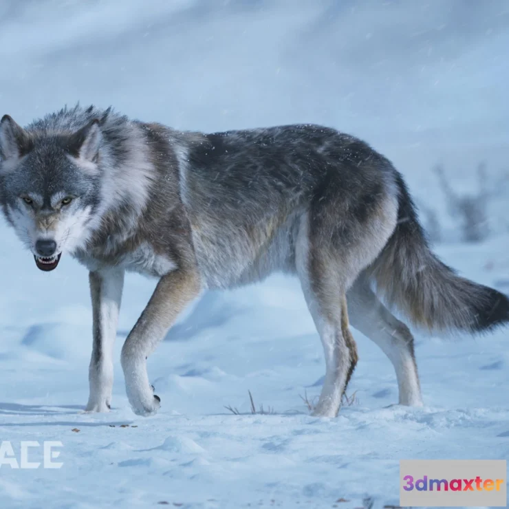 1528780 - PBR Game 3D Models - Wolf Animation 3D Max