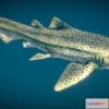 1528812 - PBR Game 3D Models - Zebra Shark 3D Max