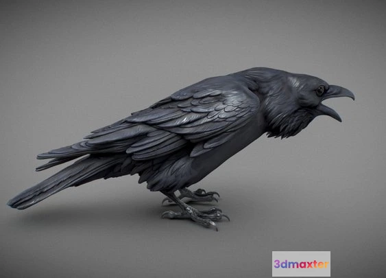 1528818 - PBR Game 3D Models - Сrow 3D Sculpting 3D Max