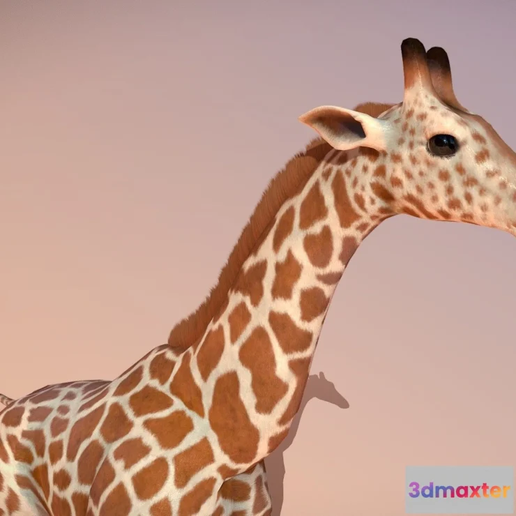 1528902 - PBR Game 3D Models - Animated Giraffe 3D Max