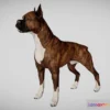 1528976 - PBR Game 3D Models - Boxer Dog 3D Max