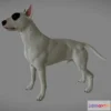 1528984 - PBR Game 3D Models - Bull Terrier 3D Max