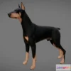 1529096 - PBR Game 3D Models - Doberman 3D Max