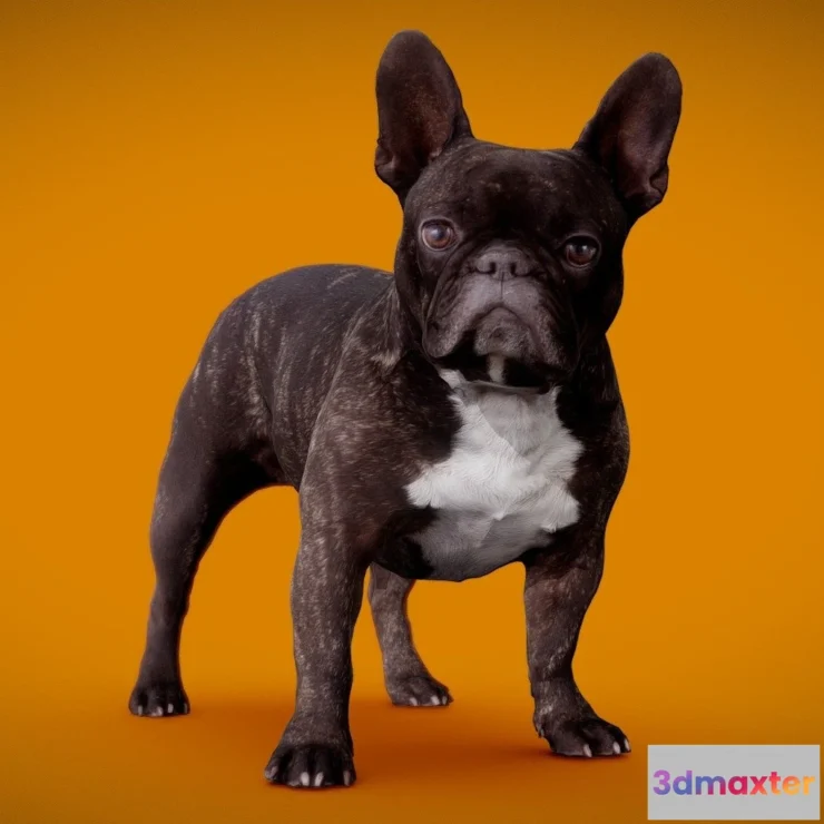 1529100 - PBR Game 3D Models - Dog B 8Of13 3D Max