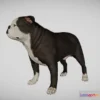 1529124 - PBR Game 3D Models - English Bulldog 3D Max