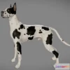 1529182 - PBR Game 3D Models - Great Dane 3D Max