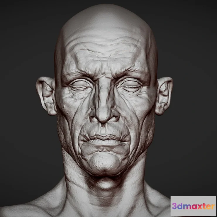 1529190 - PBR Game 3D Models - Head 2 From Heads Bundle 1 3D Max