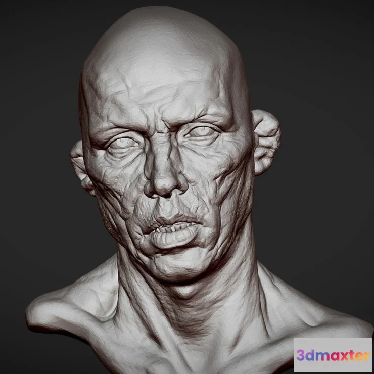 1529192 - PBR Game 3D Models - Head 3 From Heads Bundle 2 3D Max