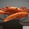 1529352 - PBR Game 3D Models - Animated Crab 3D Max