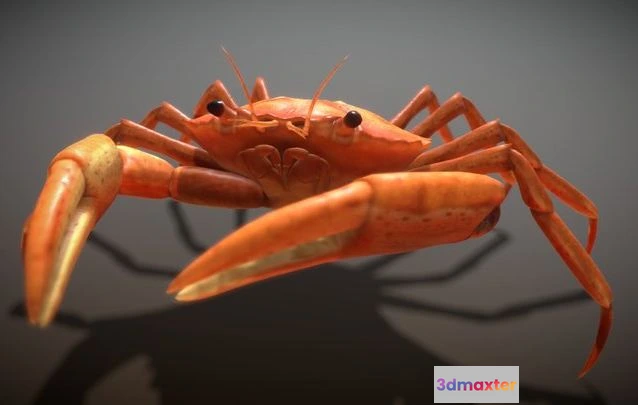 1529352 - PBR Game 3D Models - Animated Crab 3D Max
