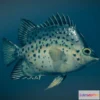 1529356 - PBR Game 3D Models - Animated Fish (Chaetodon) 3D Max