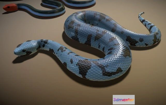 1529360 - PBR Game 3D Models - Animated Snakes Pack 3D Max