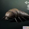 1529508 - PBR Game 3D Models - Larva insect1 3D Max