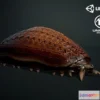 1529510 - PBR Game 3D Models - Larvae creature1 3D Max