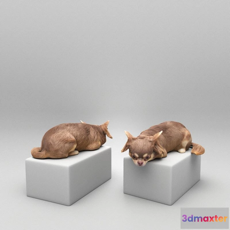 1529516 - PBR Game 3D Models - Lying dog 42 3D Max