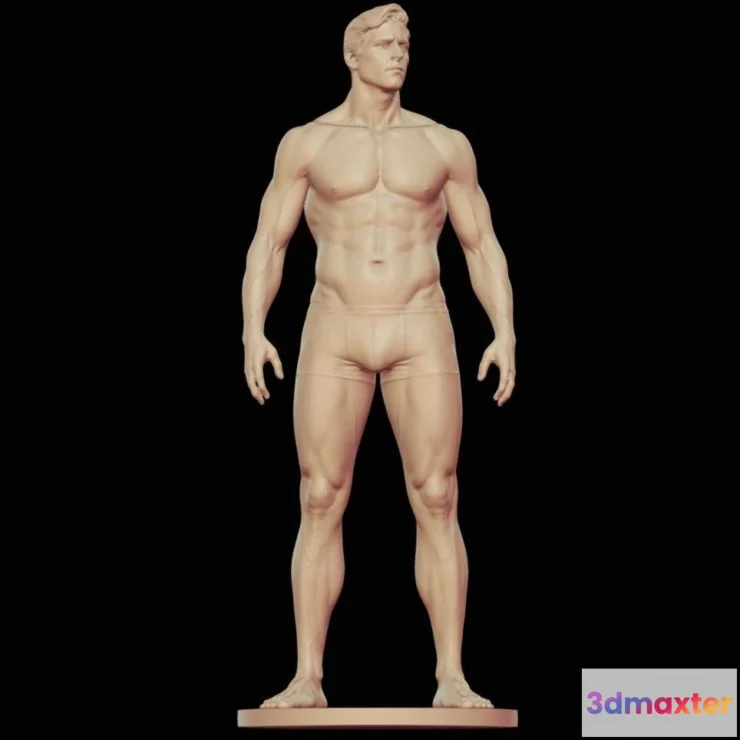 1529548 - PBR Game 3D Models - Male Anatomy Study 3D Max
