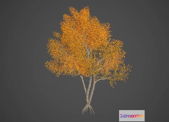 1529842 - PBR Game 3D Models - Paper Birch Collection - Betula Papyrifera 3D Max