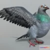 1529874 - PBR Game 3D Models - Pigeon 1 3D Max