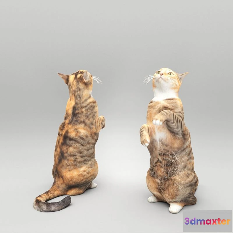 1529900 - PBR Game 3D Models - Playful cat 41 3D Max