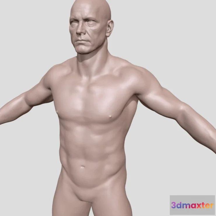 1530026 - PBR Game 3D Models - Realistic Heroic Male Basemesh Self Stand 3D Max