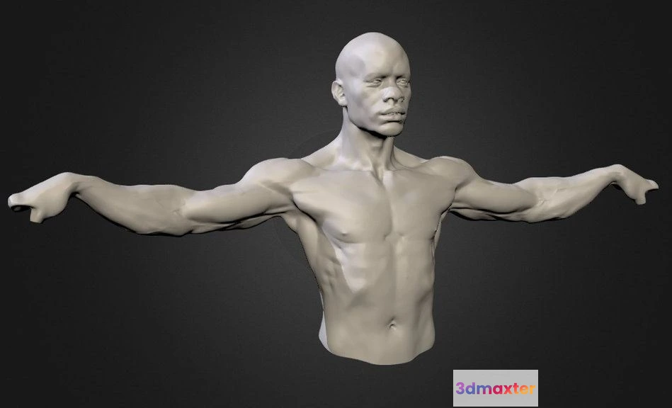 1530058 - PBR Game 3D Models - Ripped Man 3D Max