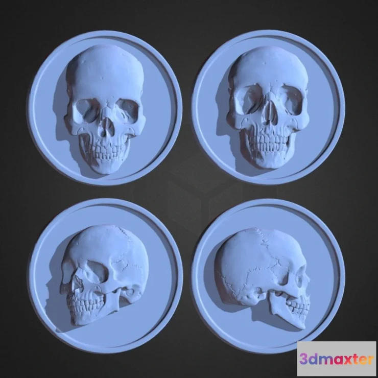 1530210 - PBR Game 3D Models - Sculls Coins 3D Max