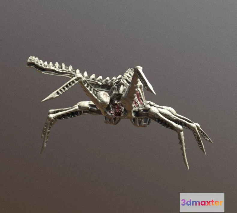 1530238 - PBR Game 3D Models - Skeleton Facehugger 3D Max