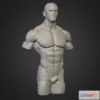 1530342 - PBR Game 3D Models - Strong Man Torso 3D Max