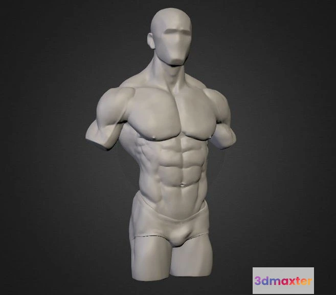 1530342 - PBR Game 3D Models - Strong Man Torso 3D Max