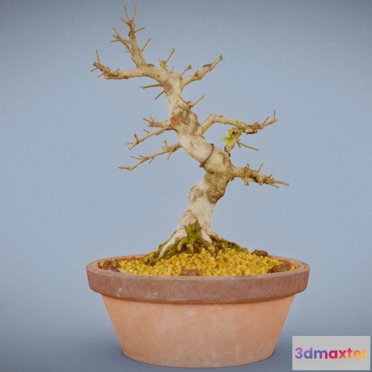 1530396 - PBR Game 3D Models - Satsuki Hi No Maru 3D Max