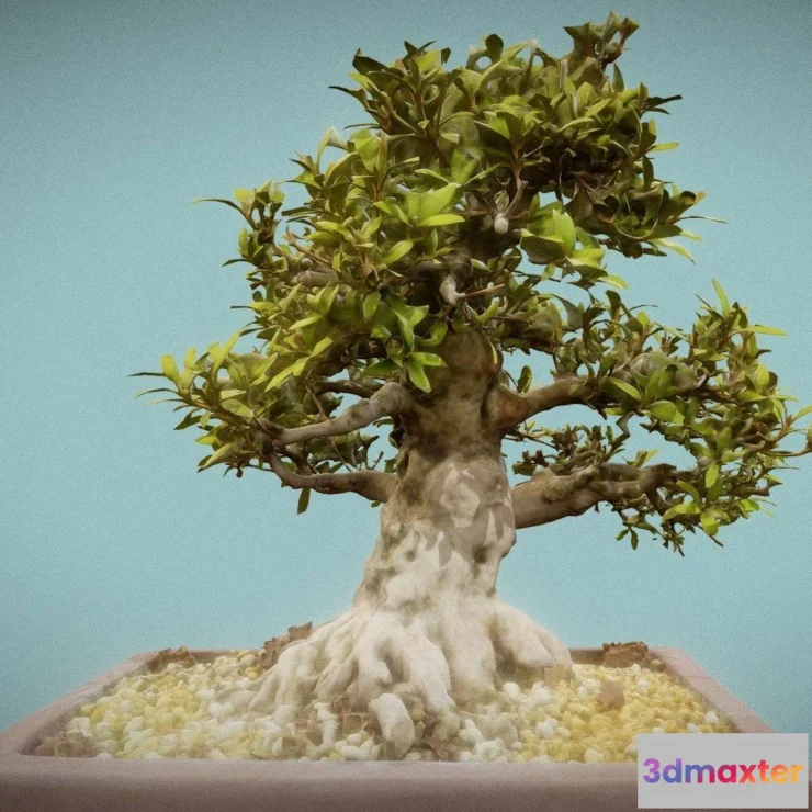 1530398 - PBR Game 3D Models - Satsuki Kinsai 1 3D Max