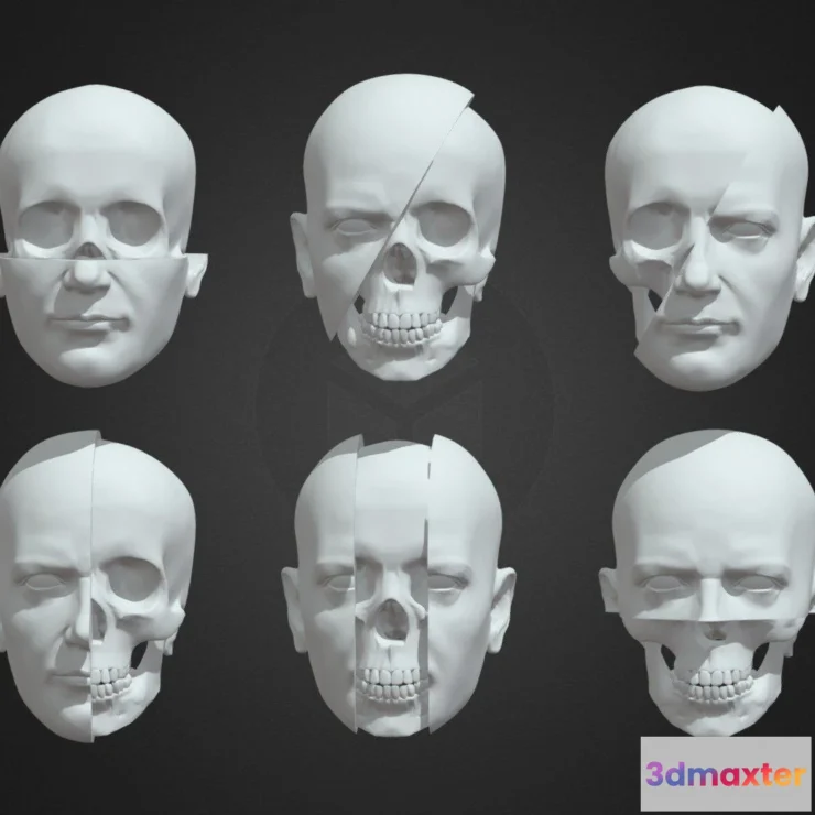 1530544 - PBR Game 3D Models - Sculls Haeds 3D Max