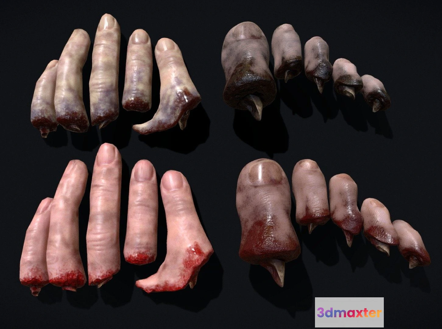 1530598 - PBR Game 3D Models - Severed Fingers And Toes Horror Prop 3D Max