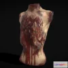 1530602 - PBR Game 3D Models - Severed Male Torso 3D Max