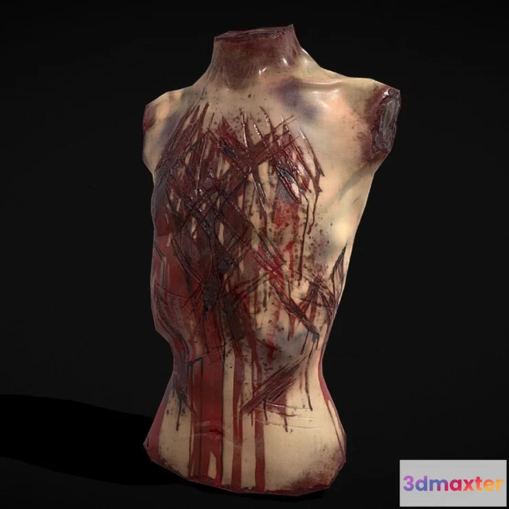 1530602 - PBR Game 3D Models - Severed Male Torso 3D Max