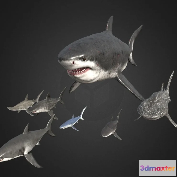 1530622 - PBR Game 3D Models - Shark Pack 3D Max