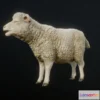 1530628 - PBR Game 3D Models - Sheep Animations 3D Max