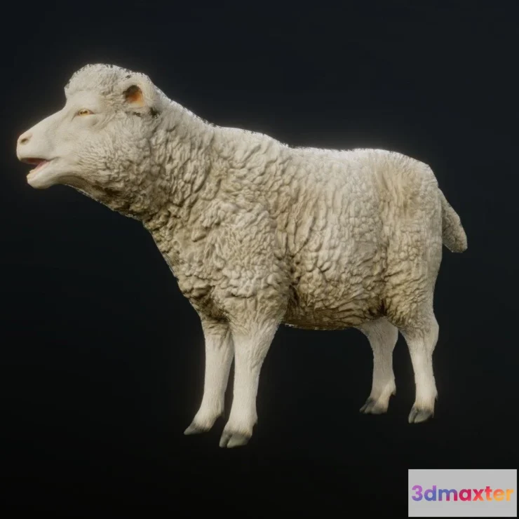 1530628 - PBR Game 3D Models - Sheep Animations 3D Max