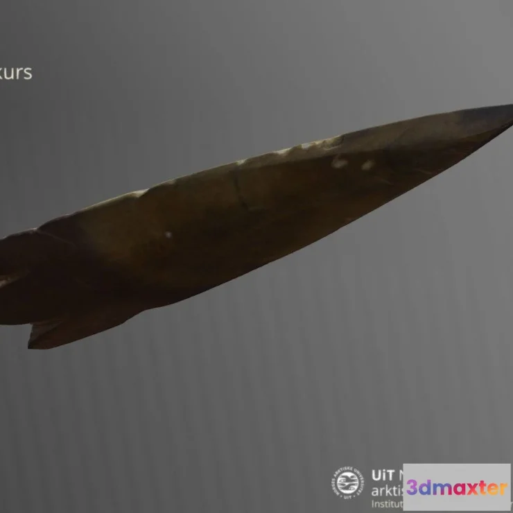 1530690 - PBR Game 3D Models - Skiferpil Ts21 3D Max