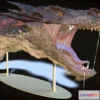 1530720 - PBR Game 3D Models - Smaug Head Model 3D Max