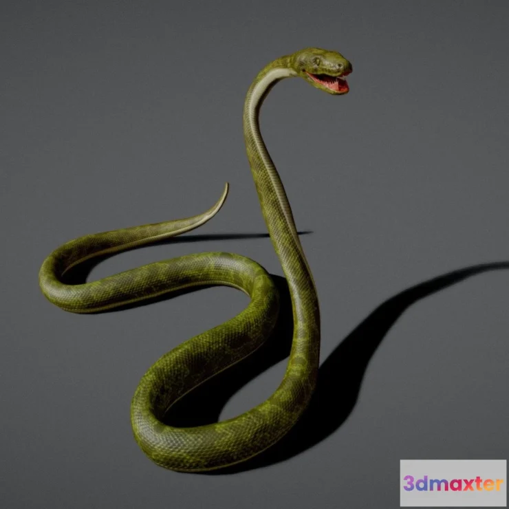 1530728 - PBR Game 3D Models - Snake Boa 3D Max