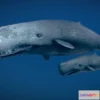 1530824 - PBR Game 3D Models - Sperm Whale 3D Max