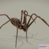 1530840 - PBR Game 3D Models - Spider - Eratigena Atrica 3D Max