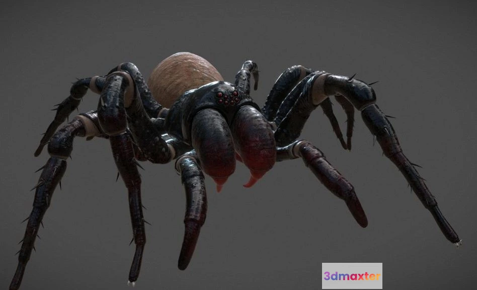 1530842 - PBR Game 3D Models - Spider for vr game 3D Max