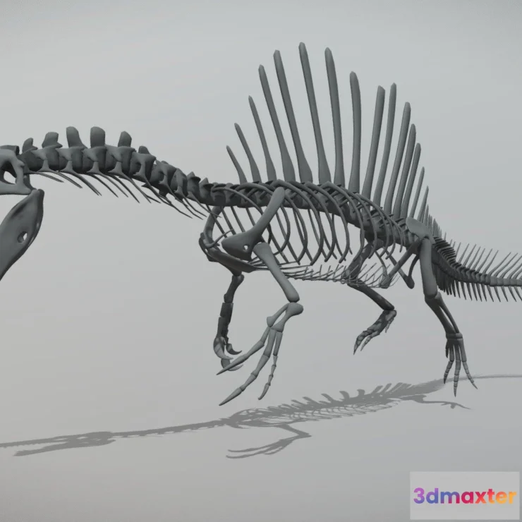 1530872 - PBR Game 3D Models - Spinosaurus Skeleton 3D Max